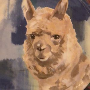 Meet your Posher, Brittney